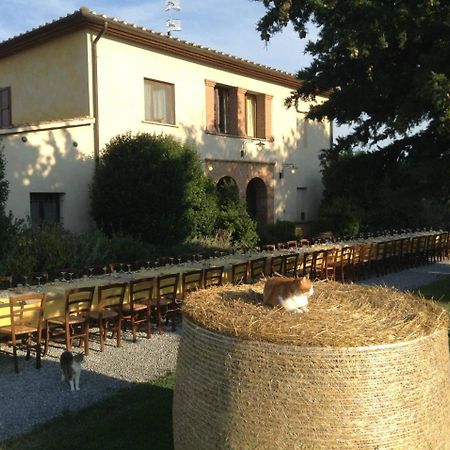 Agriturismo Giuncola & Granaiolo Rispescia Exteriör bild