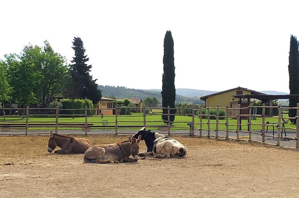Agriturismo Giuncola & Granaiolo Rispescia Exteriör bild