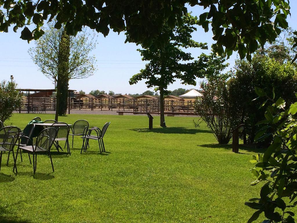 Agriturismo Giuncola & Granaiolo Rispescia Exteriör bild