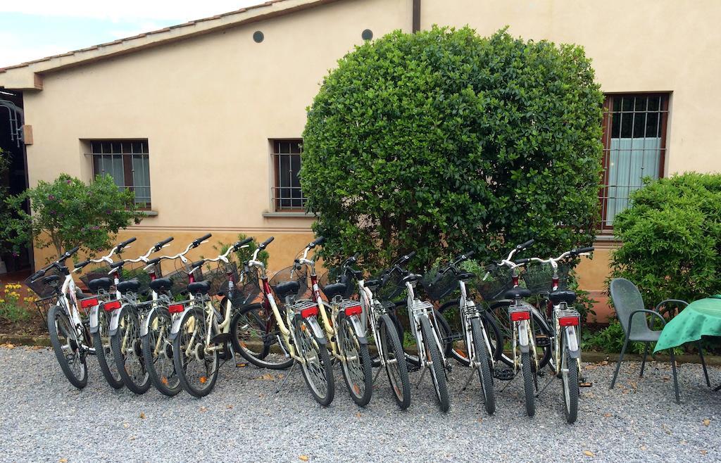 Agriturismo Giuncola & Granaiolo Rispescia Exteriör bild
