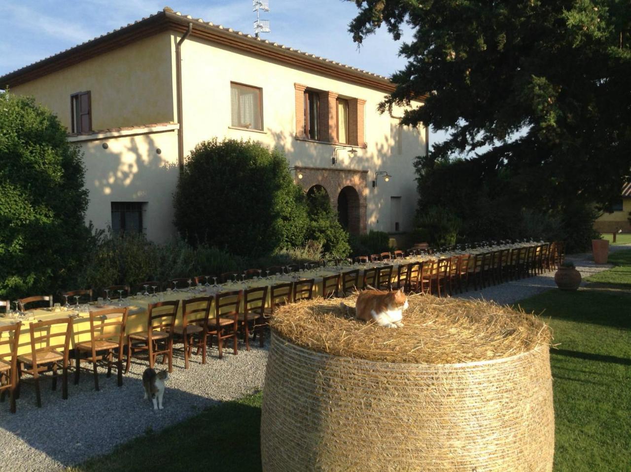 Agriturismo Giuncola & Granaiolo Rispescia Exteriör bild